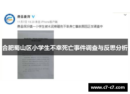 合肥蜀山区小学生不幸死亡事件调查与反思分析