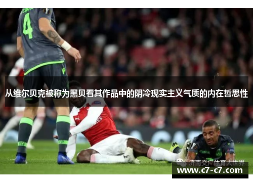 从维尔贝克被称为黑贝看其作品中的阴冷现实主义气质的内在哲思性 从维尔贝克被称为黑贝看其作品中的阴冷现实主义气质的内在哲思性
