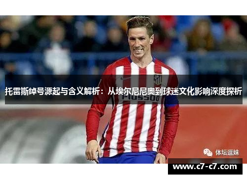 托雷斯绰号源起与含义解析：从埃尔尼尼奥到球迷文化影响深度探析