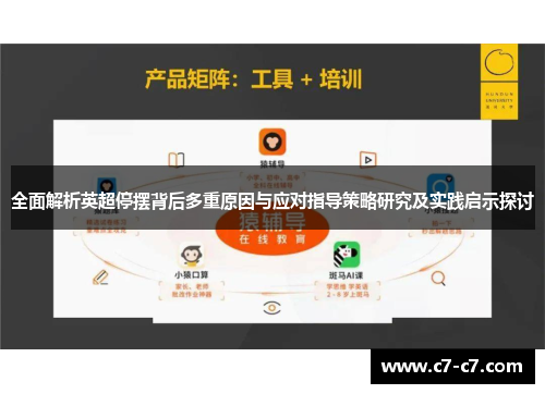 全面解析英超停摆背后多重原因与应对指导策略研究及实践启示探讨