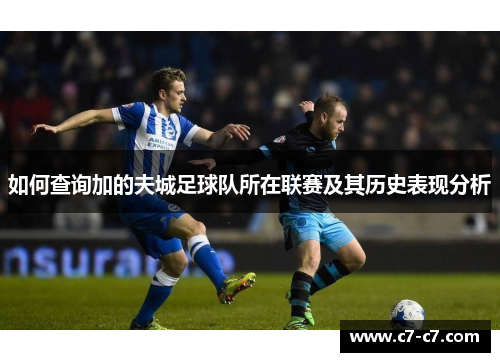 如何查询加的夫城足球队所在联赛及其历史表现分析